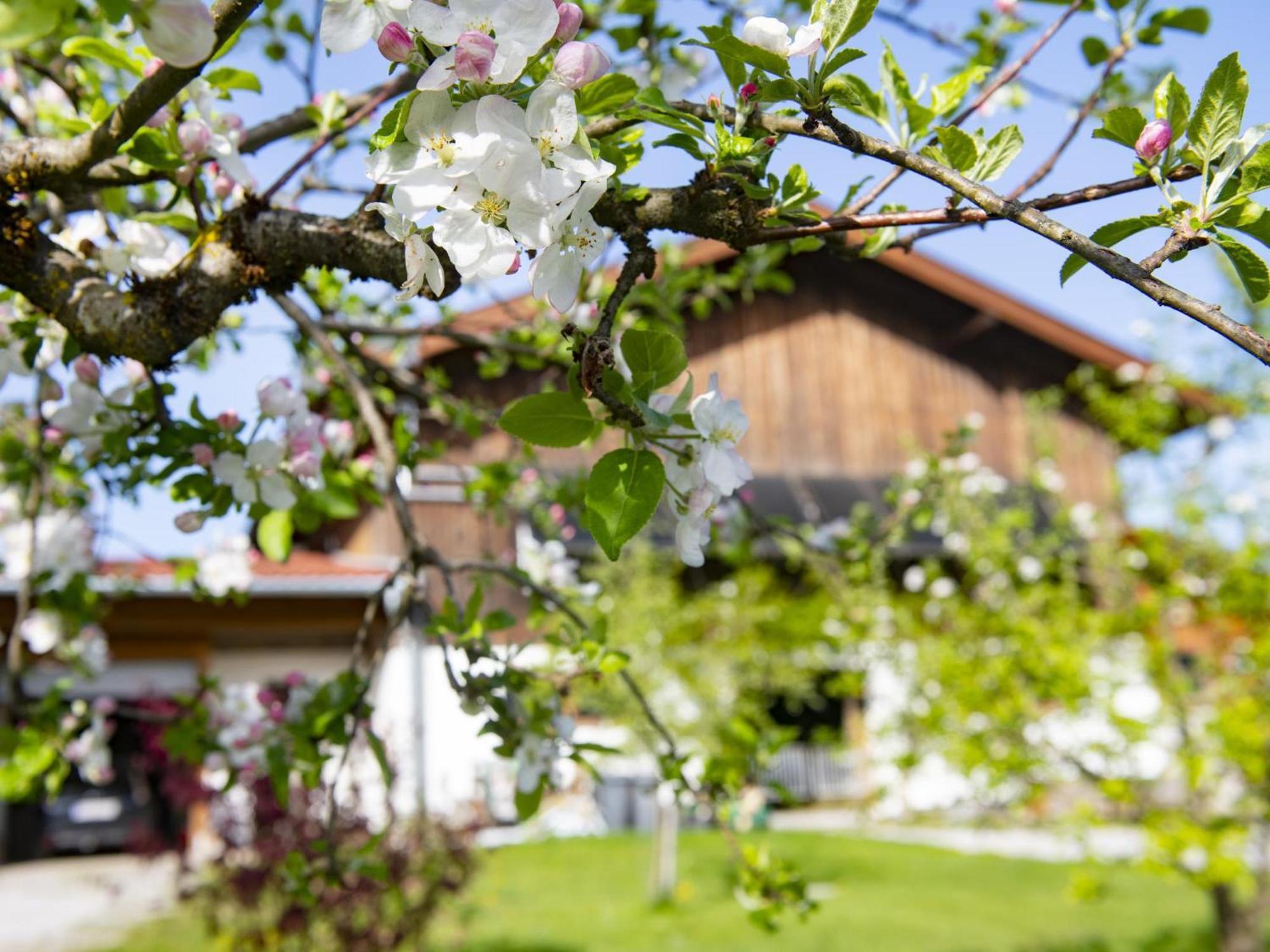SchwoichAuszeit Am Bauernhof公寓 外观 照片